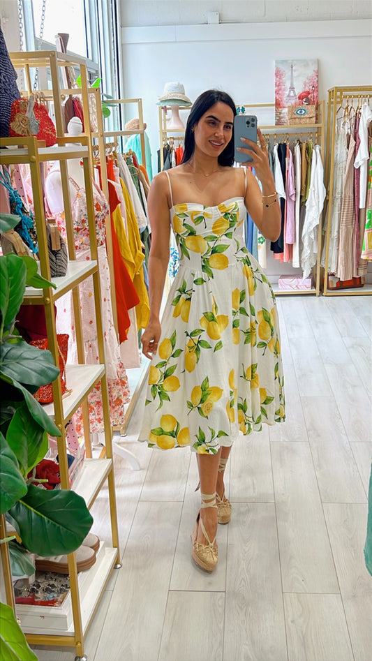 Alina Lemon Final Sale Dress